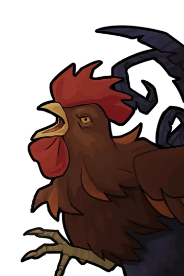 Rooster